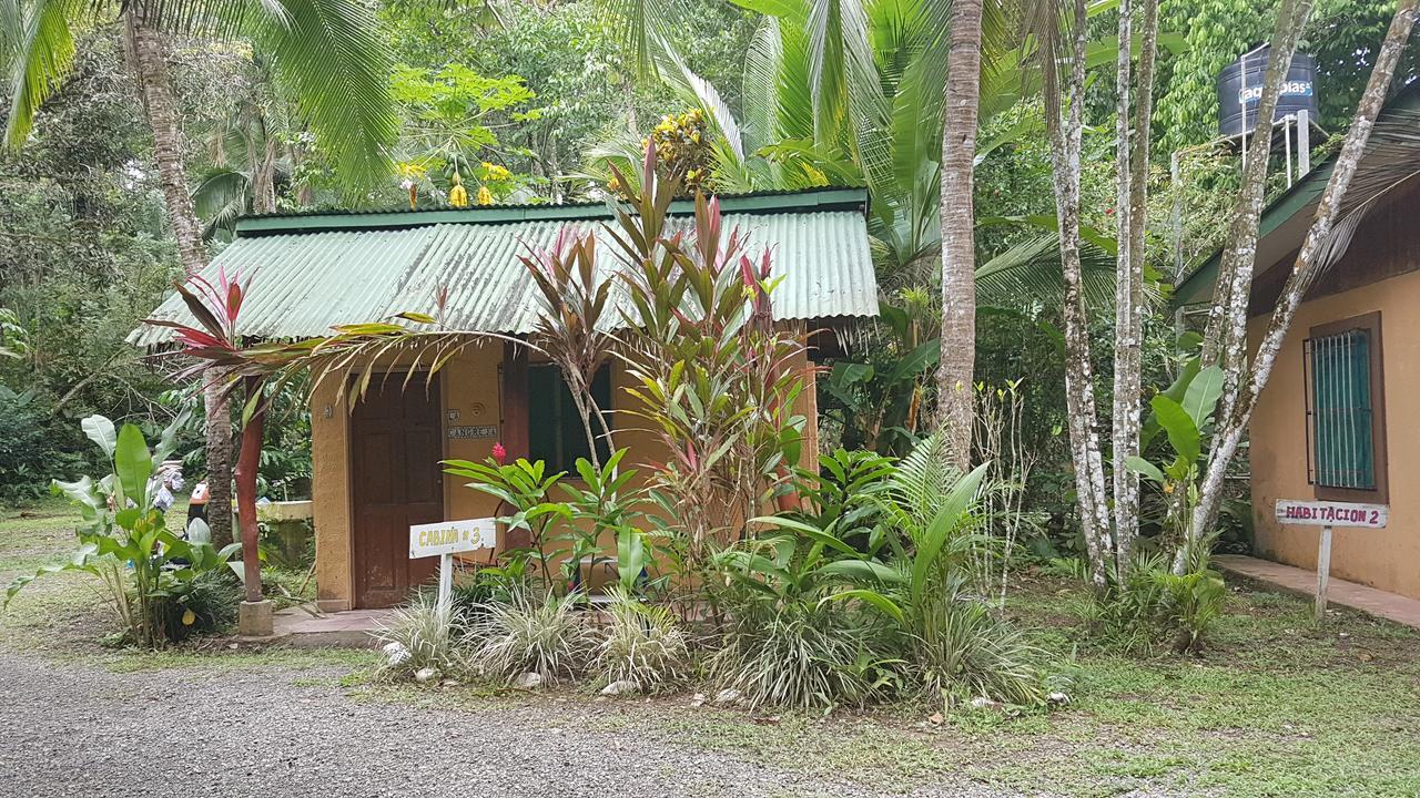 Mi Casa Hostel Y Hotel El Tesoro Puerto Viejo de Talamanca 외부 사진